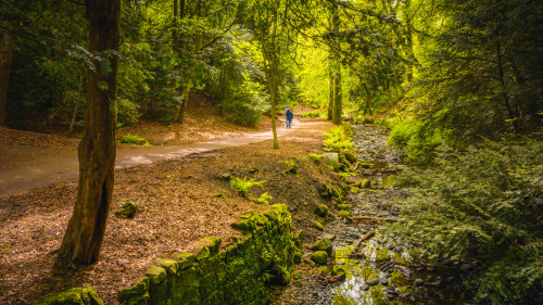 Walks and Recreation