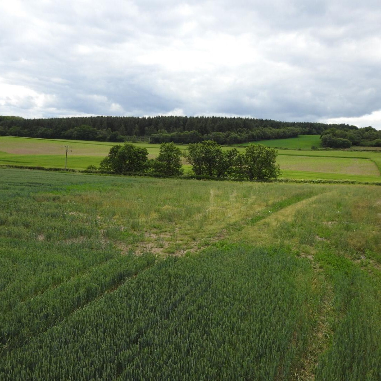 Balgownie Bunk House