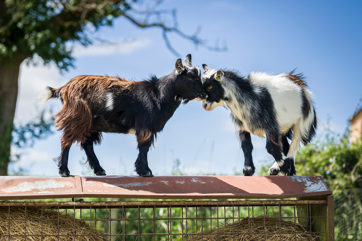 Welcome to Balgownie